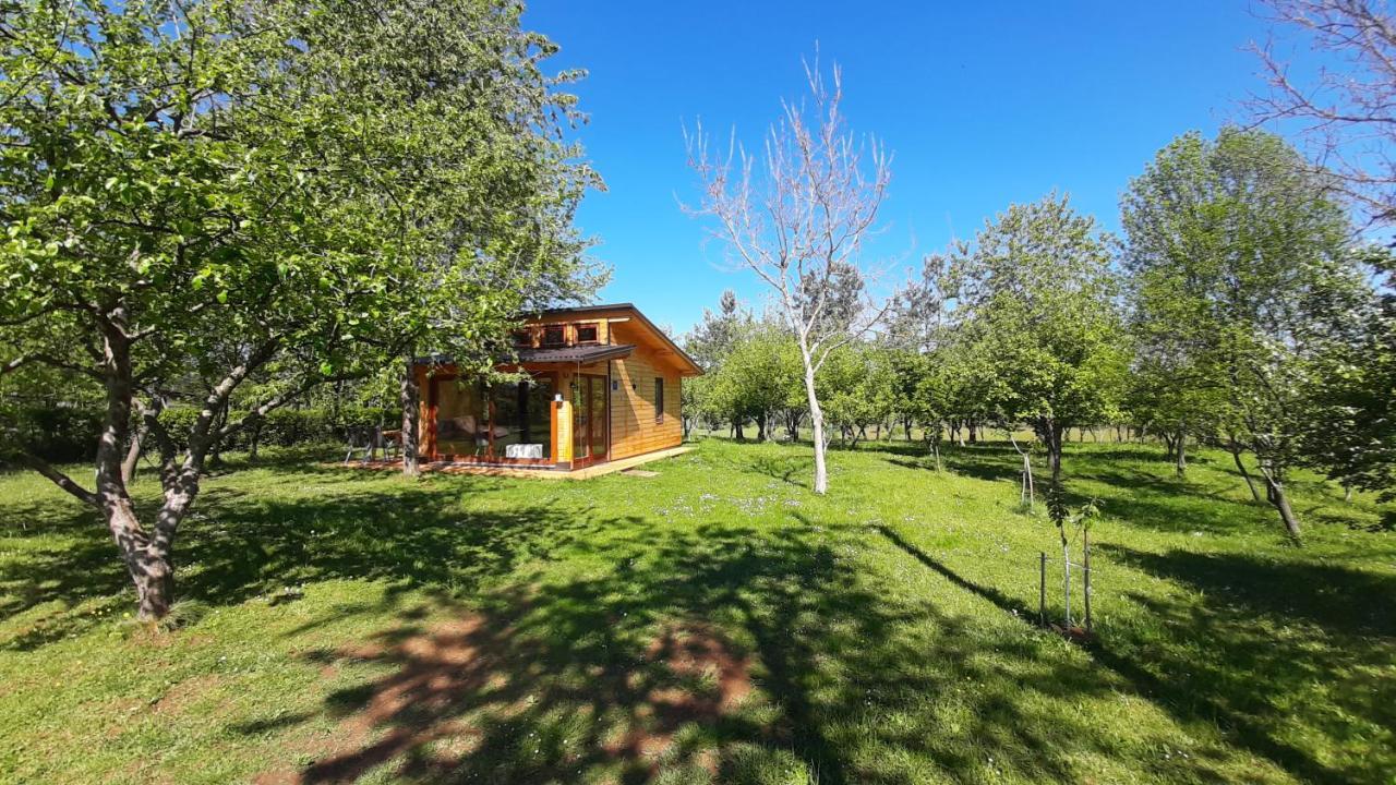 Tiny House Grabovac Villa Rakovica Exterior photo